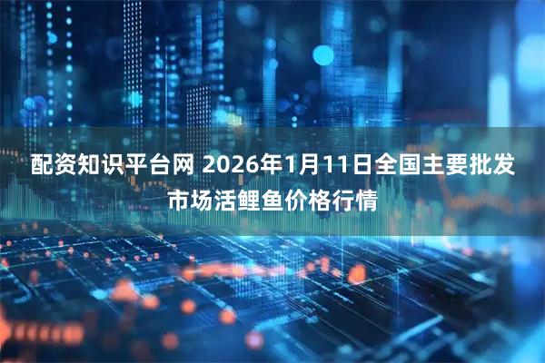 配资知识平台网 2026年1月11日全国主要批发市场活鲤鱼价格行情